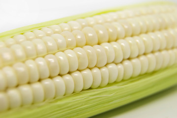 White Maize Corn