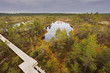 Lahemaa National Park in Estonia