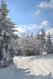 Fototapeta Fototapety z widokami - Pejzaż zimowy