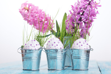 Wall Mural - Easter eggs with dots on a blue wooden table.Three colorfull egg in metal bucket.Flower hyacinth in bucket.Copy space.Eater background.Pastel colour