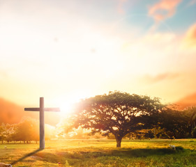 Wall Mural - concept conceptual black cross religion symbol silhouette in grass over sunset or sunrise sky