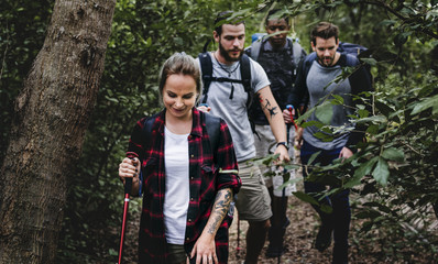 Poster - Trekking in a forest