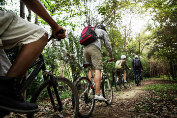 Sticker - Group of friends ride mountain bike in the forest together