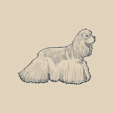 Illustration Of Dog