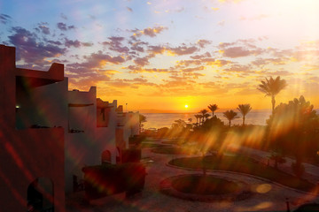 Wall Mural - Palm trees at beautiful sunset