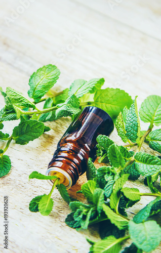 Fotografie, Obraz Mint extract. Medicinal plants. Selective focus.