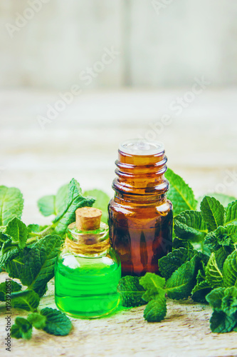 Fotografie, Obraz Mint extract. Medicinal plants. Selective focus.