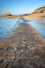 Wall Mural - Paved path to Grand Be and Petit Be islands at low tide in Saint Malo, Brittany, France