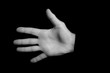 © UMB-O - open hand - hand gestures on a black background - black and white photo
