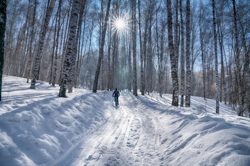 Bike tour through the forest