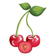 Wall Mural - delicious cherry isolated icon vector illustration design