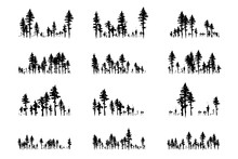 Ink Hand Drawn Forest. Design Collection.