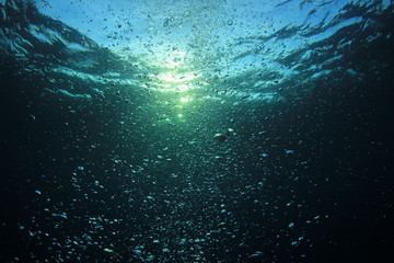 Wall Mural - Underwater bubbles