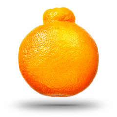 Wall Mural - Single mandarin or tangerine citrus fruit