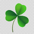 Vector three-leaf shamrock clover icon. Lucky fower-leafed symbol of Irish beer festival St Patrick's day. 3d realistic vector green grass clover isolated on transparent background