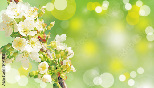 Der Frühling ist da!