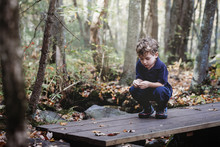 Boy Playing With Leaves While Crouching On Wooden Plank At Park