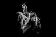 © Iryna&Maya - Amazing beautiful contrast woman portrait. Gratitude, forgiveness, spirituality. torment, doubt, pleasure, longing, loneliness triple Multiple exposure black and white photo