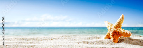 Fotomural Shell on sand and summer time
