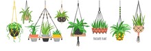Set Of Macrame Hangers For Plants Growing In Pots. Bundle Of Hanging Planters Made Of Cotton Cord, Beautiful Handmade Home Decorations Isolated On White Background. Cartoon Flat Vector Illustration.