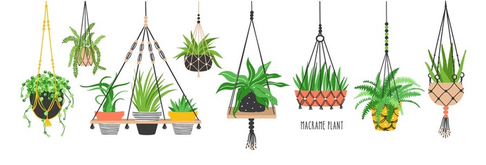 Wall Mural - Set of macrame hangers for plants growing in pots. Bundle of hanging planters made of cotton cord, beautiful handmade home decorations isolated on white background. Cartoon flat vector illustration.