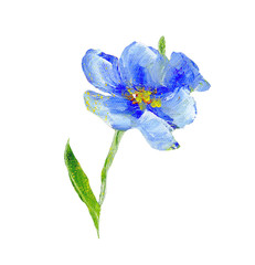 Hand painted modern style blue flower isolated on white background. Spring flower seasonal nature card. Oil painting