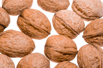 young walnuts in shell isolated on white background