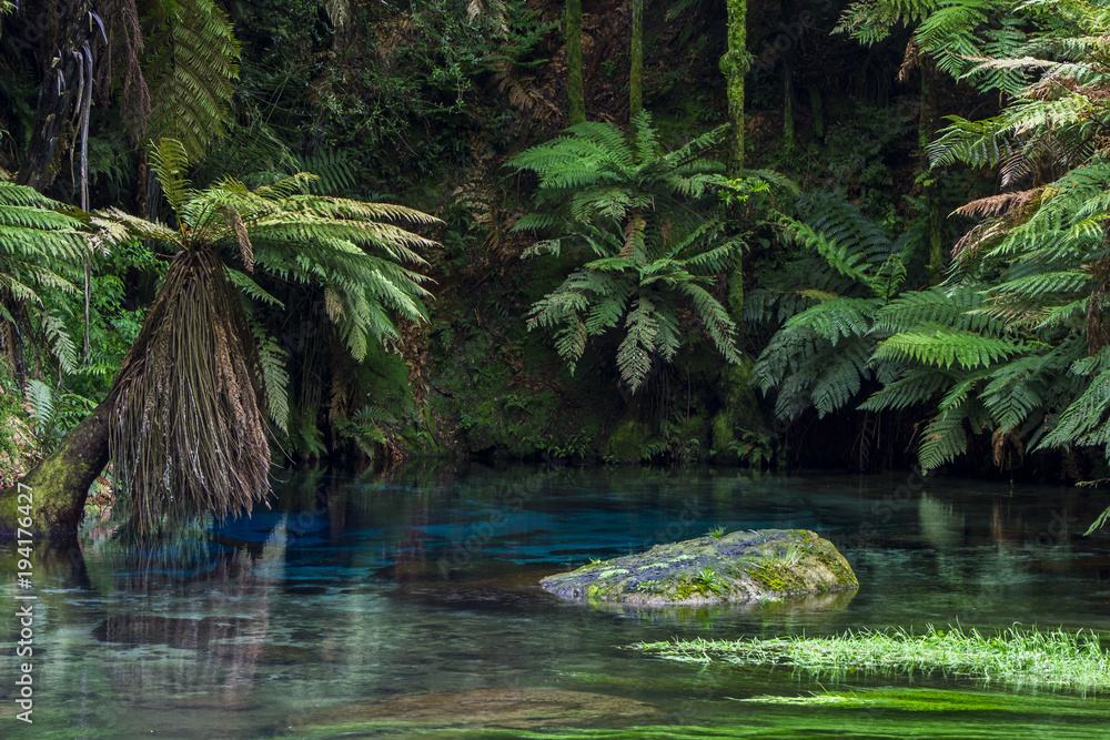 South Waikato