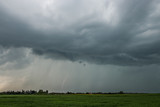 Fototapeta  - Thunderstorm day