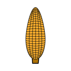 Wall Mural - corn vector illustration