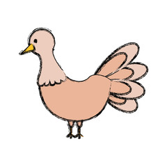 Sticker - cartoon turkey icon