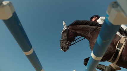 horse leaping in slow motion