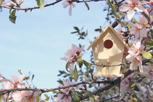 Little Birdhouse In Spring Over Blossom Cherry Tree.