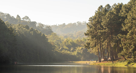 Wall Mural - pang tong national park at mae hong son province in thailand with pine trees and lake in mountain, g