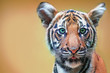 cute tiger cub with green eyes. The head is large.  free space for text design or logotype.