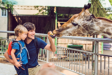 Father and son watching and feeding giraffe in zoo. Happy kid having fun with animals safari park on warm summer day