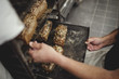 © Maskot - Close up of baker removing fresh bread from oven