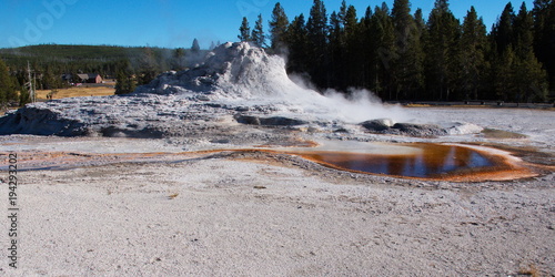 Fotografie, Obraz Castle Geyser in Yellowstone National Park in Wyoming in the USA