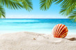 © magdal3na - shell on sand and summer time