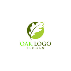 oak vector graphic abstract logo template download