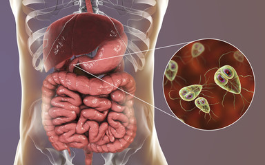 Poster - Giardia lamblia protozoan, found in duodenum, close-up view the causative agent of giardiasis, 3D illustration