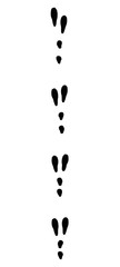 Rabbit tracks. Typical footprints when running - isolated black icon vector illustration on white background.