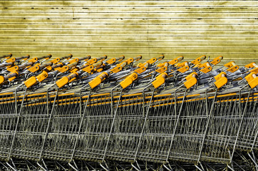 Shopping Carts