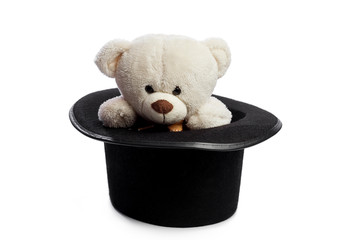 Wall Mural - Isolated teddy bear with black hat