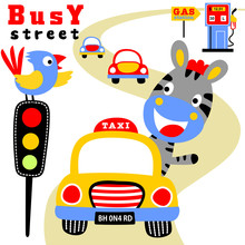 Busy Road Cartoon With Cars, Zebra, Bird