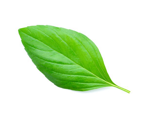 Sticker - Basil leaves isolated on white background.