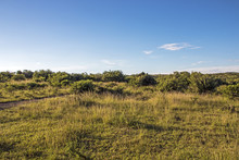 Dry Bush And Grassland With Blue Coudy Skyline Landscape