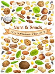 Wall Mural - Poster seeds sunflower, pumpkin, and corn. Nuts cashew, brazilian nut, coconut, cedar, hazelnut, cashew, almonds, walnut, nutmeg, pecan, peanut, macadamia, pistachio.