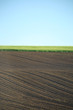 © Yuliya - plowed field. Arable land and field with green wheat. Green field, brown arable land.Agrarian background