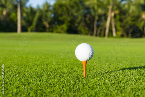 Fotografie, Obraz Golf ball on tee on golf course over a blurred green field